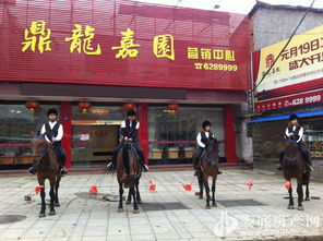 歡樂五一，來鼎龍嘉園免費(fèi)騎馬玩！｜鼎龍木業(yè)邀您共度佳節(jié)
